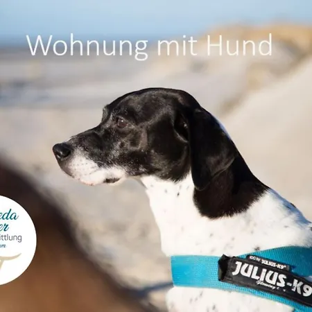 Haus Am Seezeichen - Whg Vind